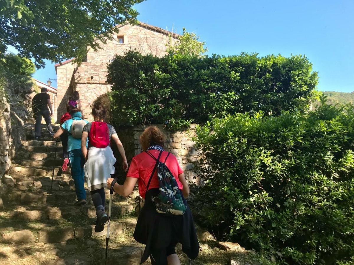 Medieval Village Bed & Breakfast