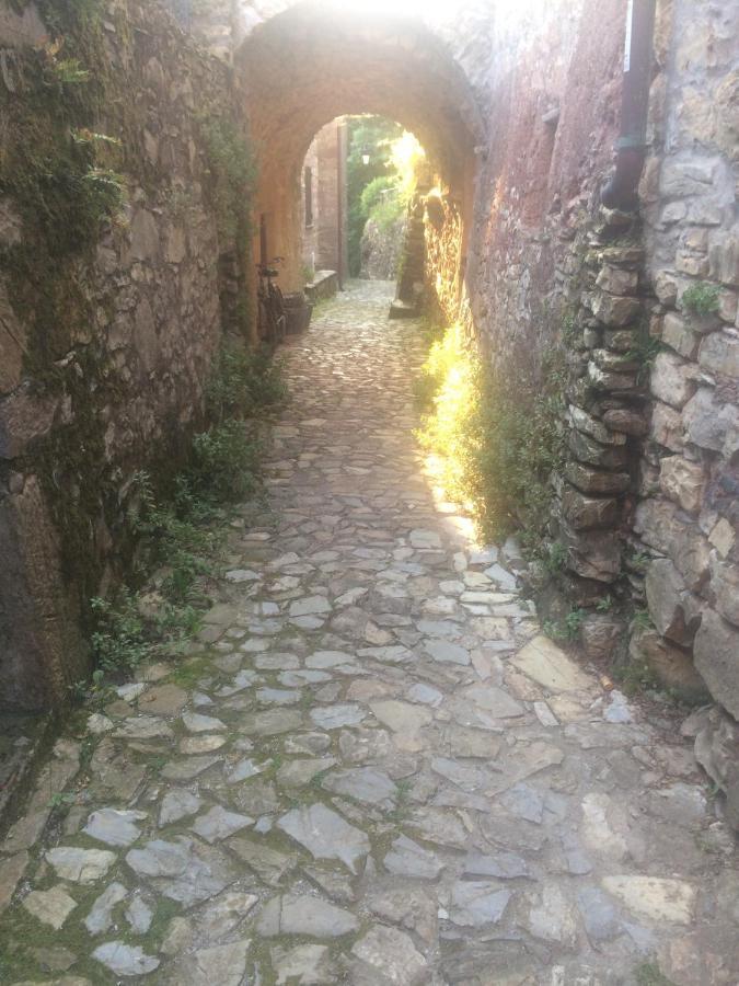 Medieval Village *